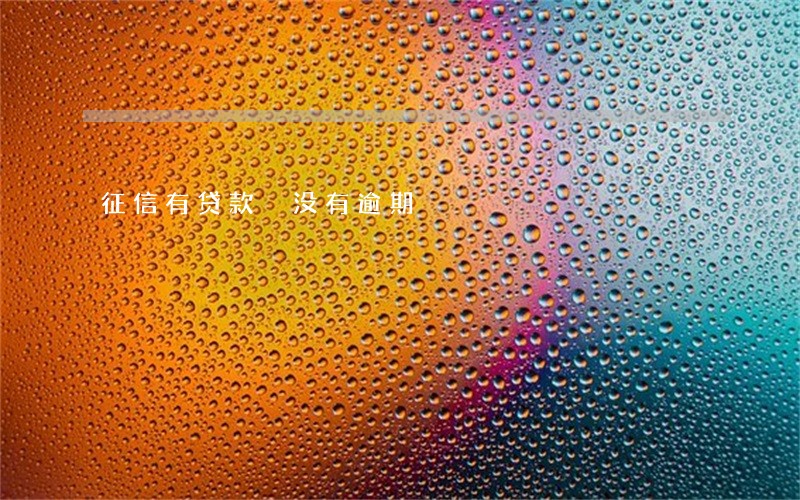 征信有贷款 没有逾期 征信有贷款 没有逾期